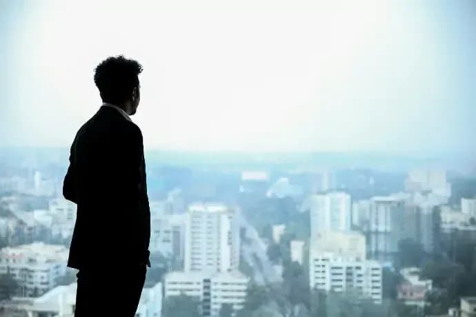 ADO ERP's vision